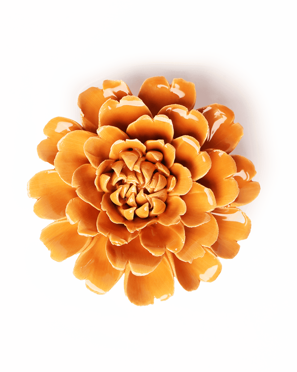 EG44.png?crop=center&height=