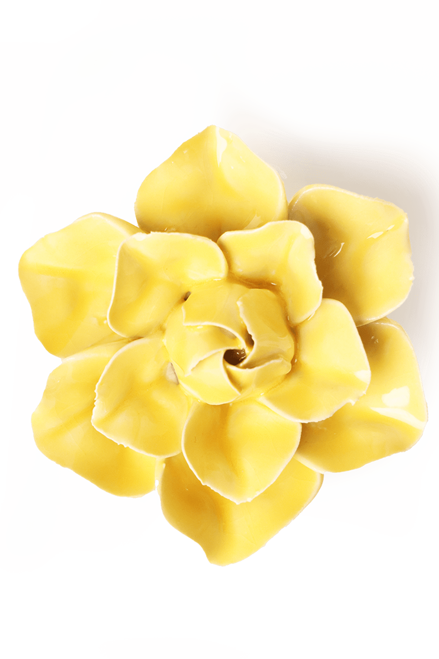 Buttercup Yellow Daffodil - Chive Ceramics Studio - Ceramic Flowers - Chive Ceramics Studio