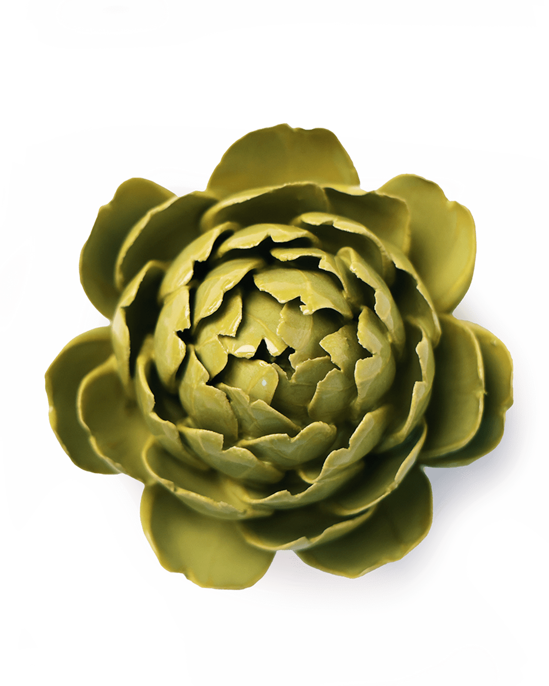 Chartreuse Protea ceramic wall flower — English Garden collection — designed in Toronto by Chive Studio