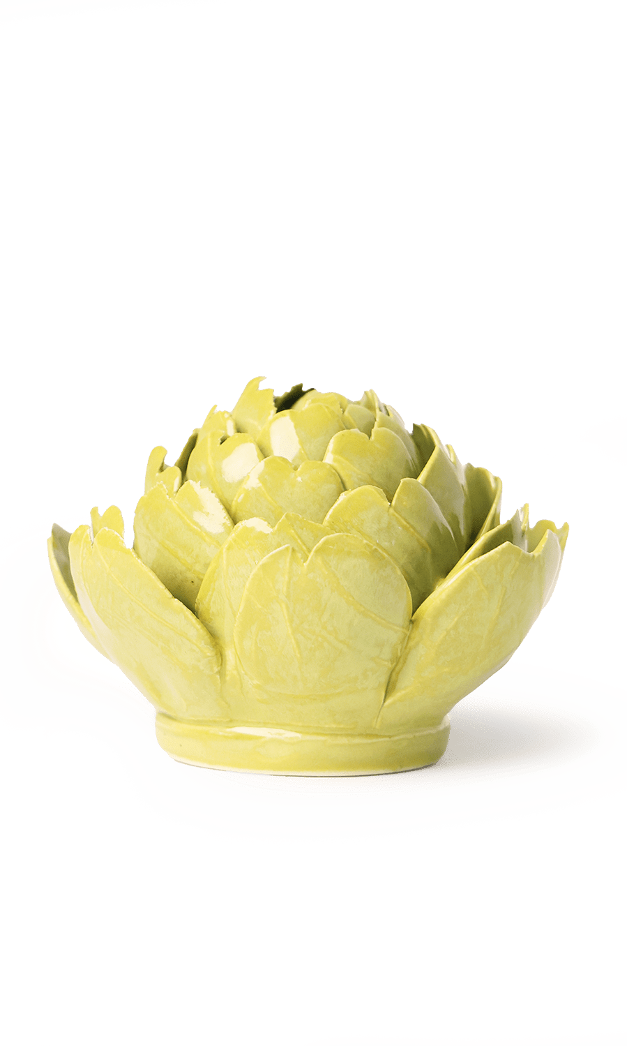 Chartreuse Queen Protea ceramic wall flower — English Garden — handmade by Chive Studio Toronto