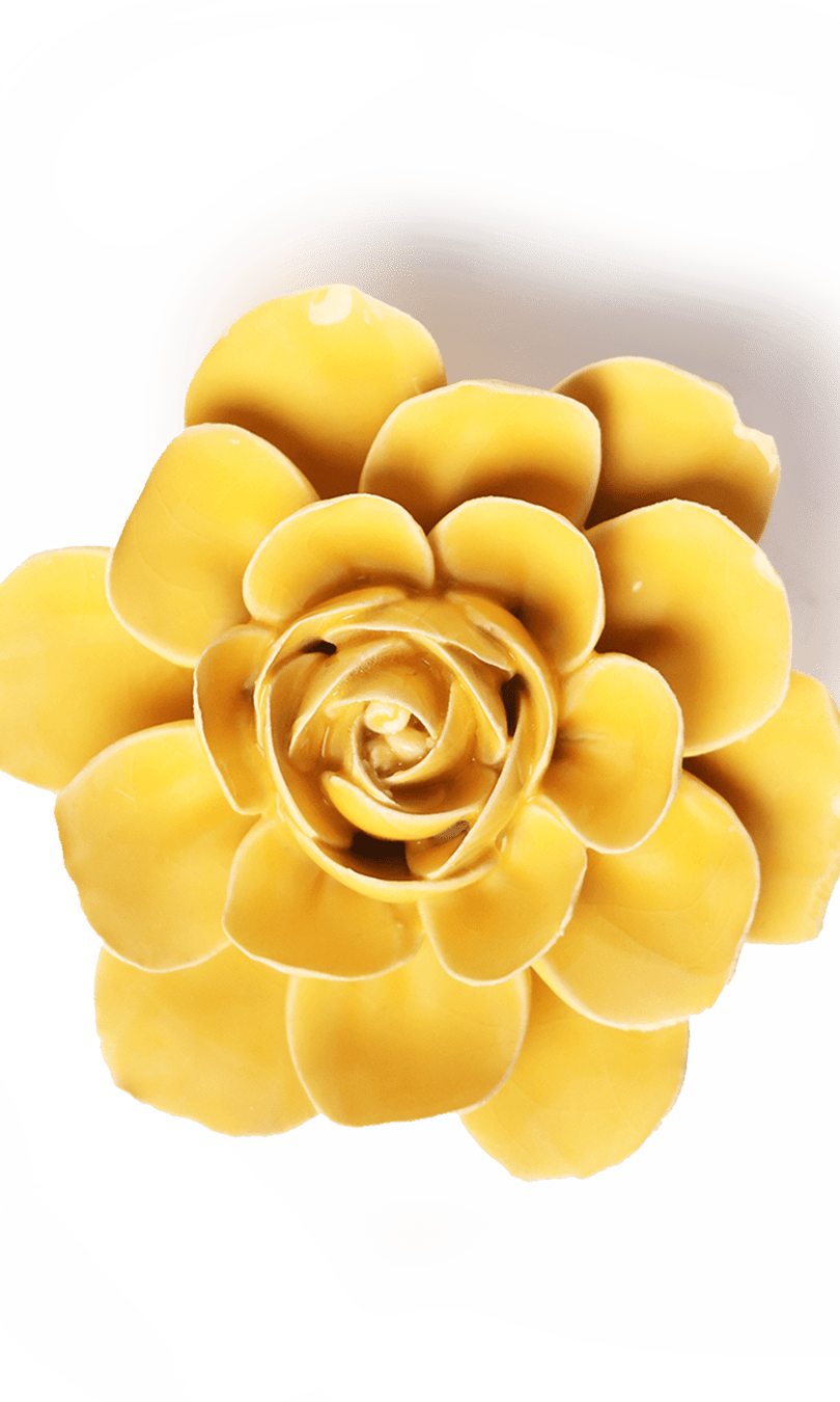 Burnt Yellow Begonia ceramic wall flower — English Garden collection — designed in Toronto by Chive Studio