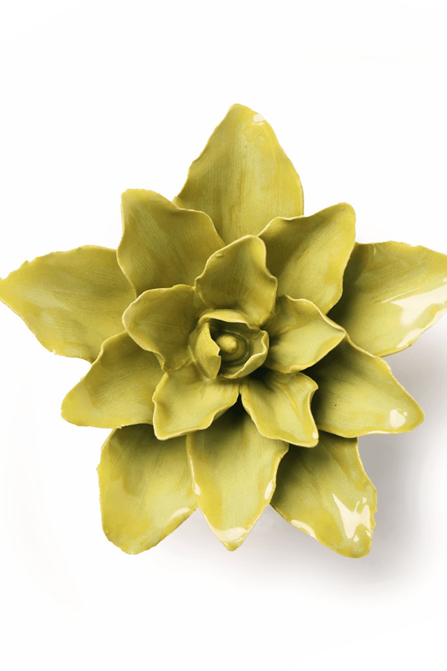 Chartreuse Lily ceramic wall flower — English Garden collection — designed in Toronto by Chive Studio