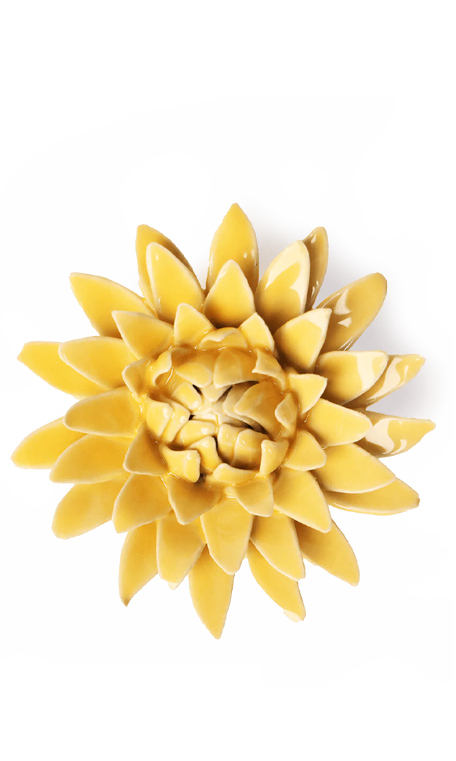 Burnt Yellow Strawflower ceramic wall flower — English Garden collection — designed in Toronto by Chive Studio