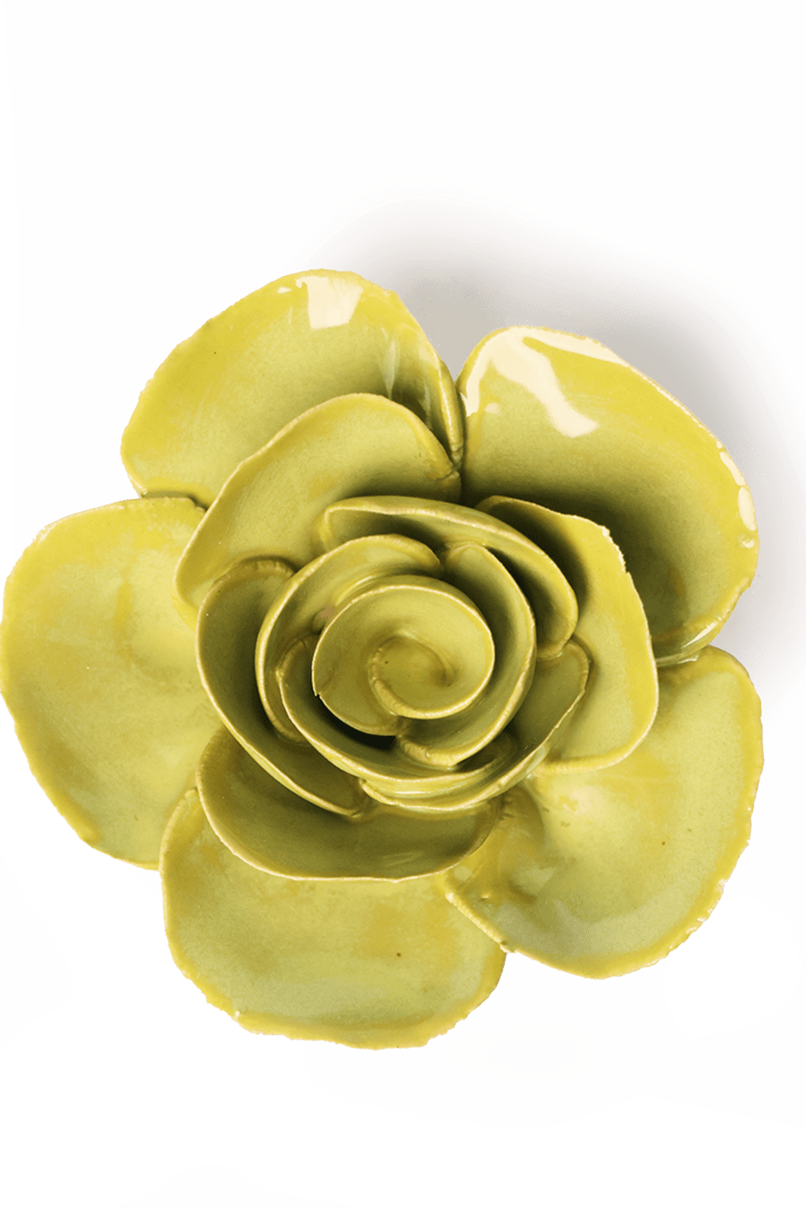 Chartreuse Elegance Ranunculus ceramic wall flower — English Garden collection — designed in Toronto by Chive Studio