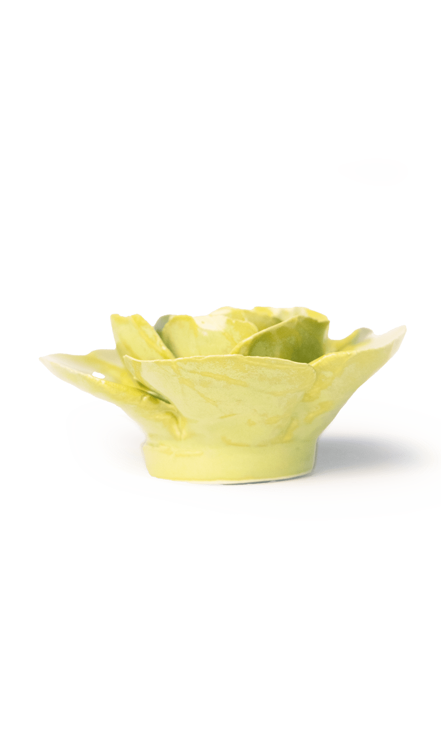 chartreuse Elegance Ranunculus ceramic wall flower — English Garden Collection — handmade by Chive Studio Toronto