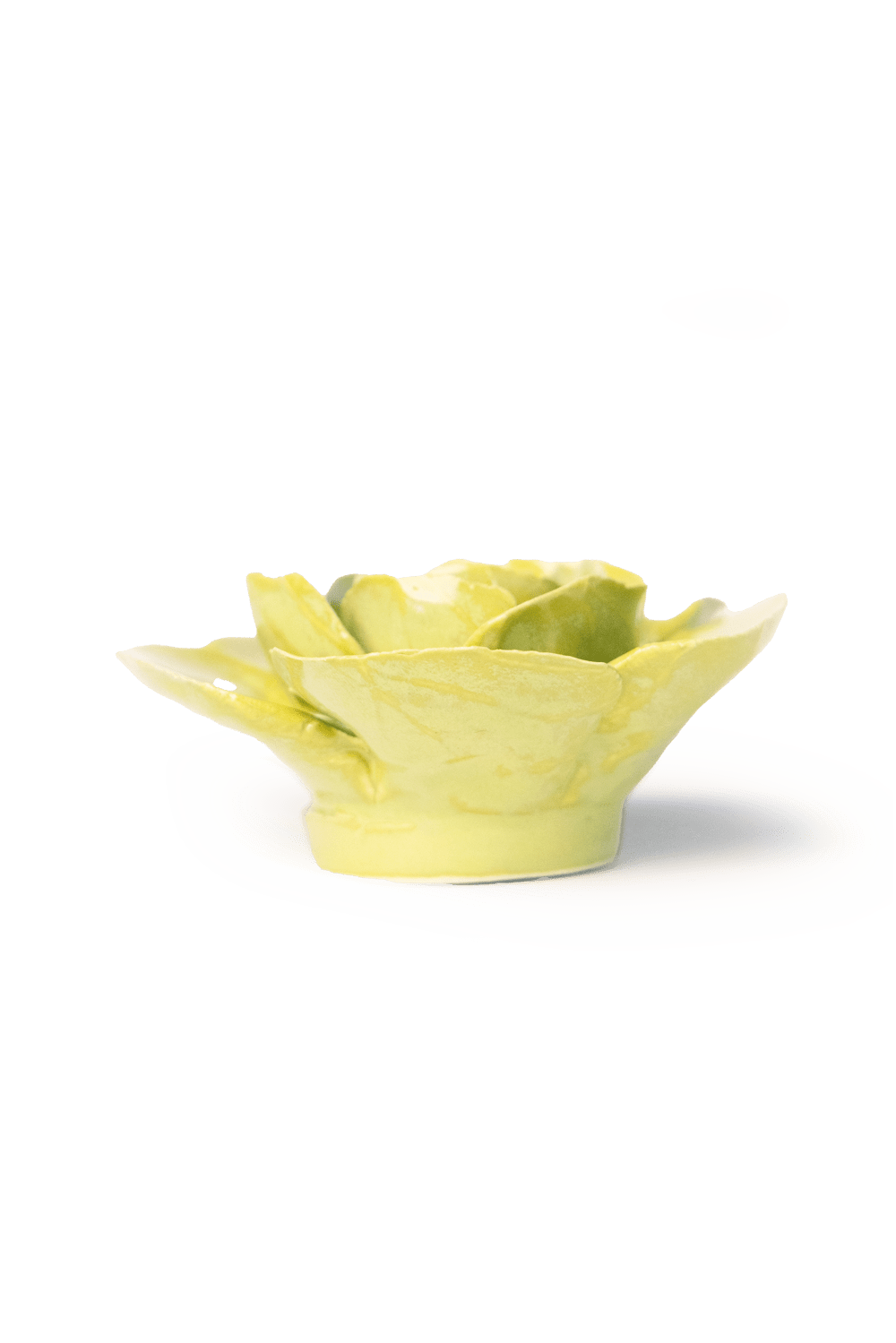 Chartreuse Elegance Ranunculus ceramic wall flower — English Garden — handmade by Chive Studio Toronto