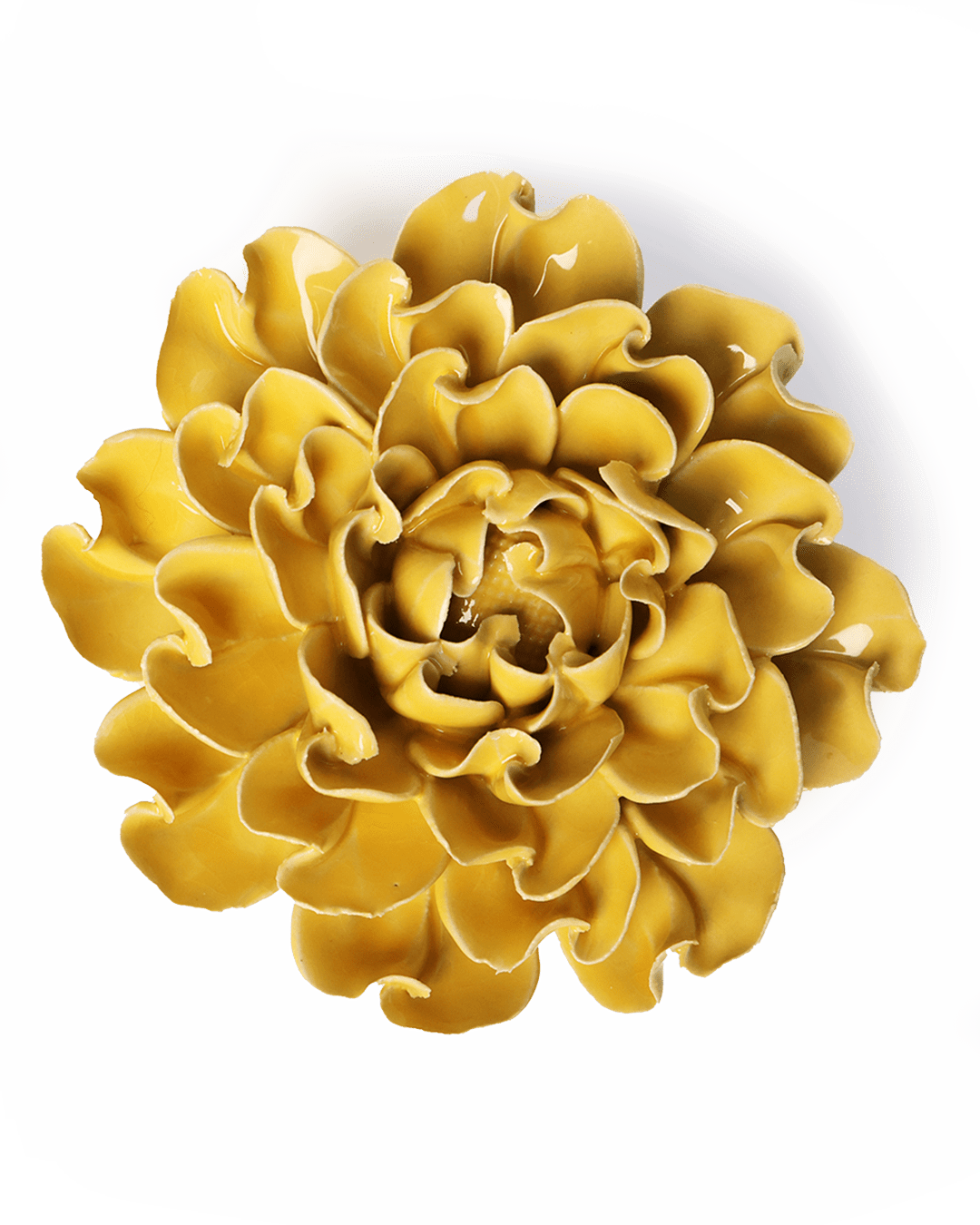 Buttercup Yellow Hawthorn ceramic wall flower — English Garden collection — designed in Toronto by Chive Studio
