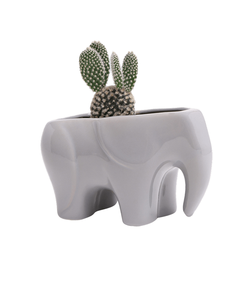 Elephant Ceramic Indoor Plant Pot For Succulents - Chive Ceramics Studio - Pots - Chive US