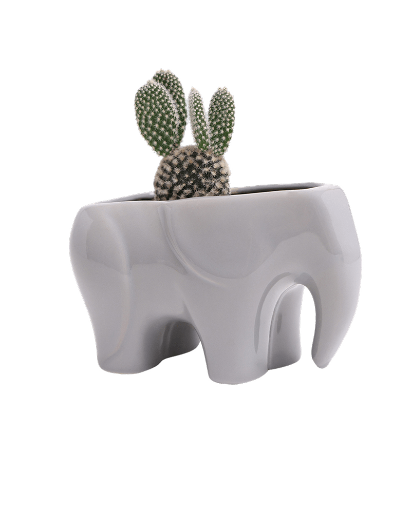 Elephant Ceramic Indoor Plant Pot For Succulents - Chive Ceramics Studio - Pots - Chive US