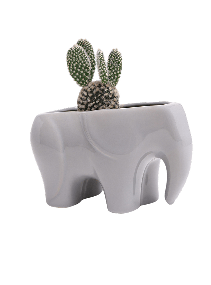 Elephant Ceramic Indoor Plant Pot For Succulents - Chive Ceramics Studio - Pots - Chive US