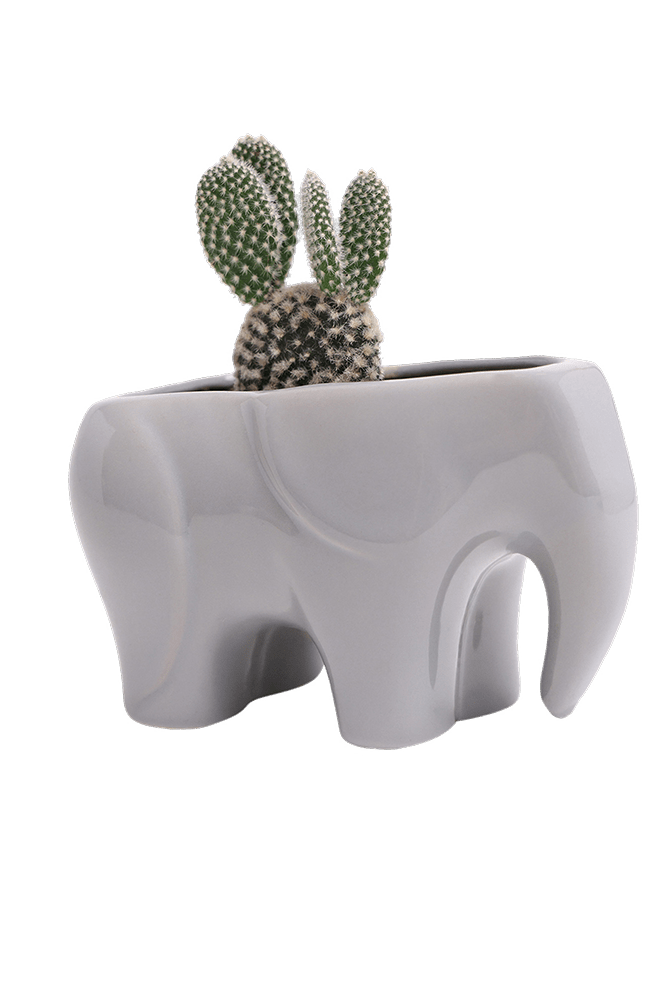 Elephant Ceramic Indoor Plant Pot For Succulents - Chive Ceramics Studio - Pots - Chive US