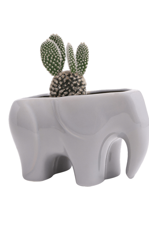 Elephant Ceramic Indoor Plant Pot For Succulents - Chive Ceramics Studio - Pots - Chive US