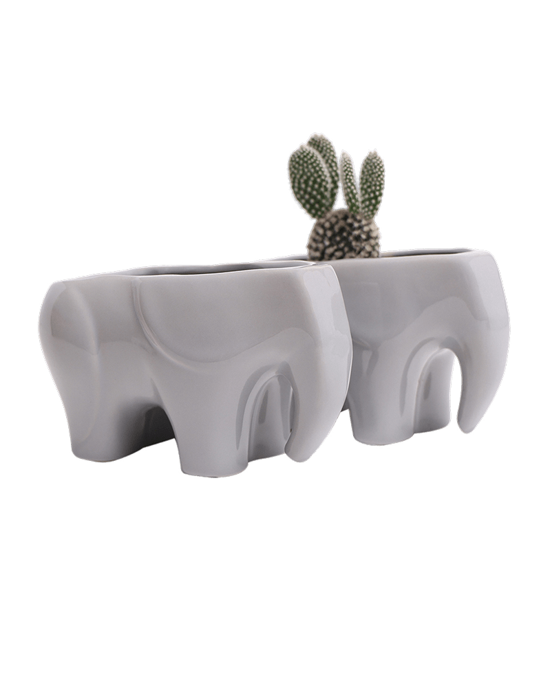 Elephant Ceramic Indoor Plant Pot For Succulents - Chive Ceramics Studio - Pots - Chive US