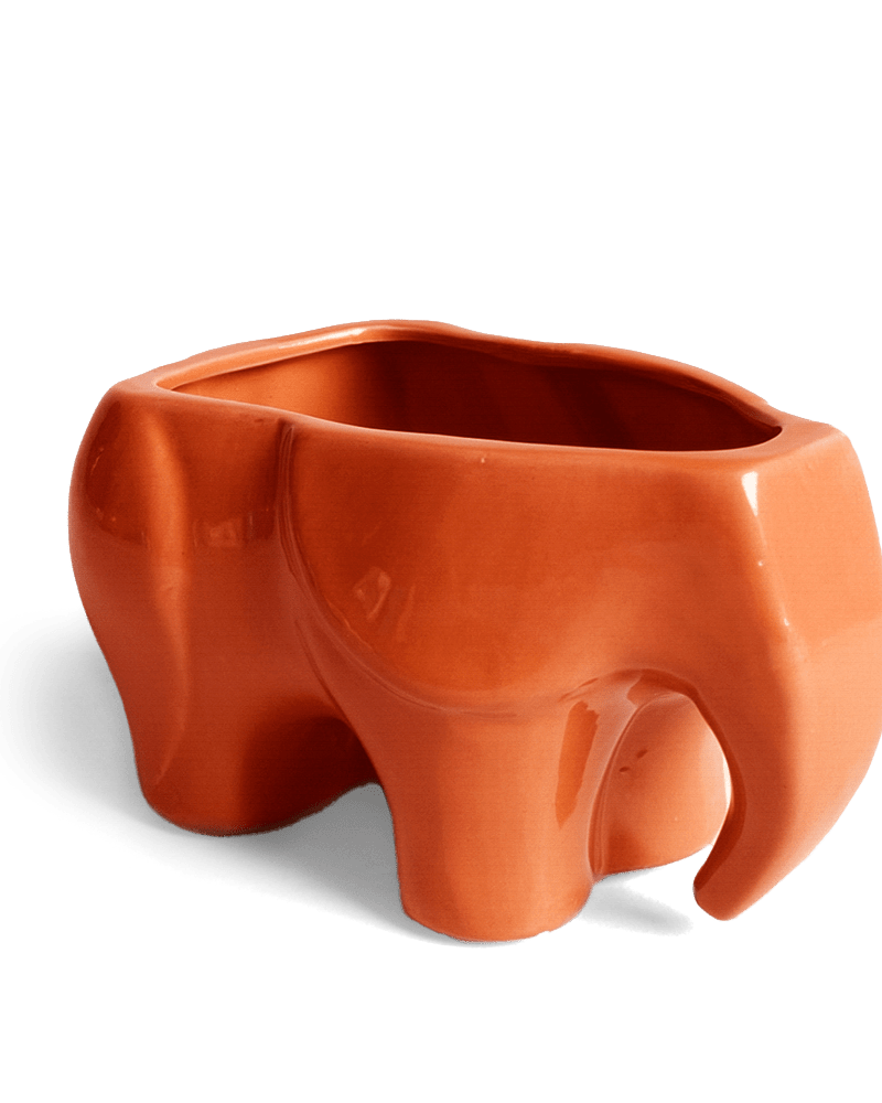 Elephant Ceramic Indoor Plant Pot For Succulents - Chive Ceramics Studio - Pots - Chive Ceramics Studio
