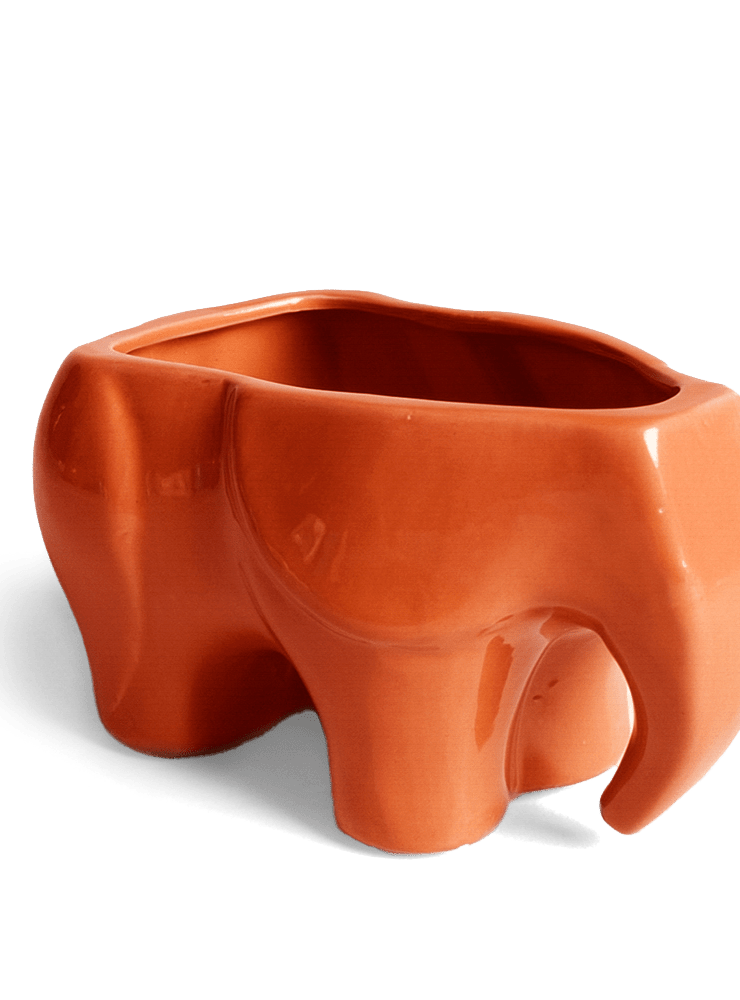 Elephant Ceramic Indoor Plant Pot For Succulents - Chive Ceramics Studio - Pots - Chive Ceramics Studio