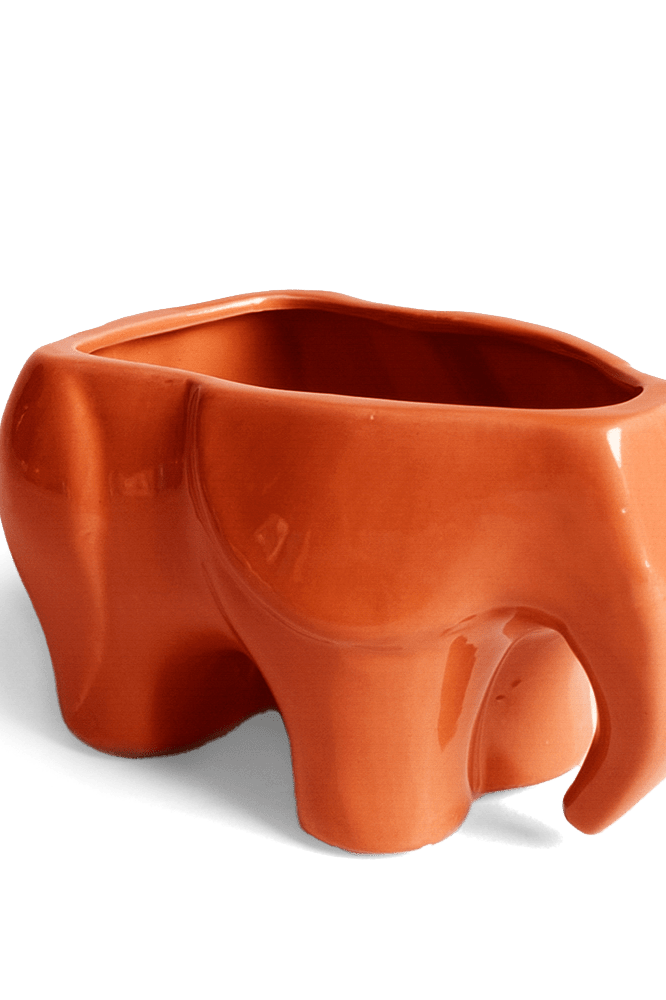 Elephant Ceramic Indoor Plant Pot For Succulents - Chive Ceramics Studio - Pots - Chive Ceramics Studio