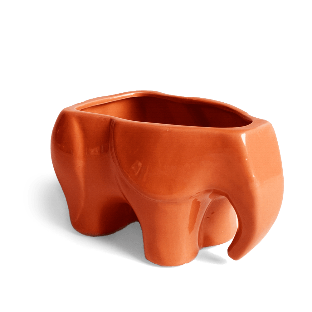 Elephant Ceramic Indoor Plant Pot For Succulents - Chive Ceramics Studio - Pots - Chive Ceramics Studio
