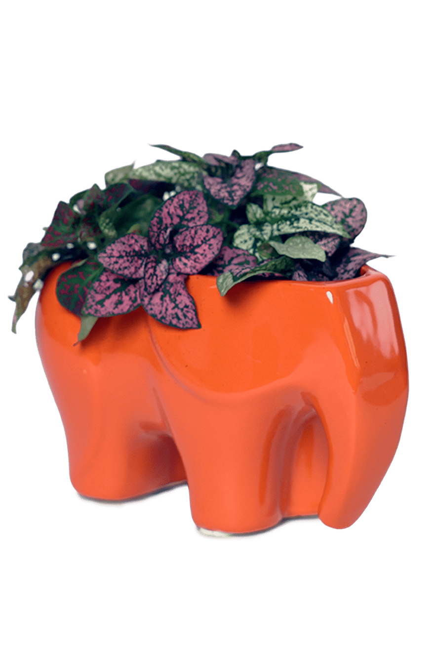 Elephant Ceramic Indoor Plant Pot For Succulents - Chive Ceramics Studio - Pots - Chive Ceramics Studio