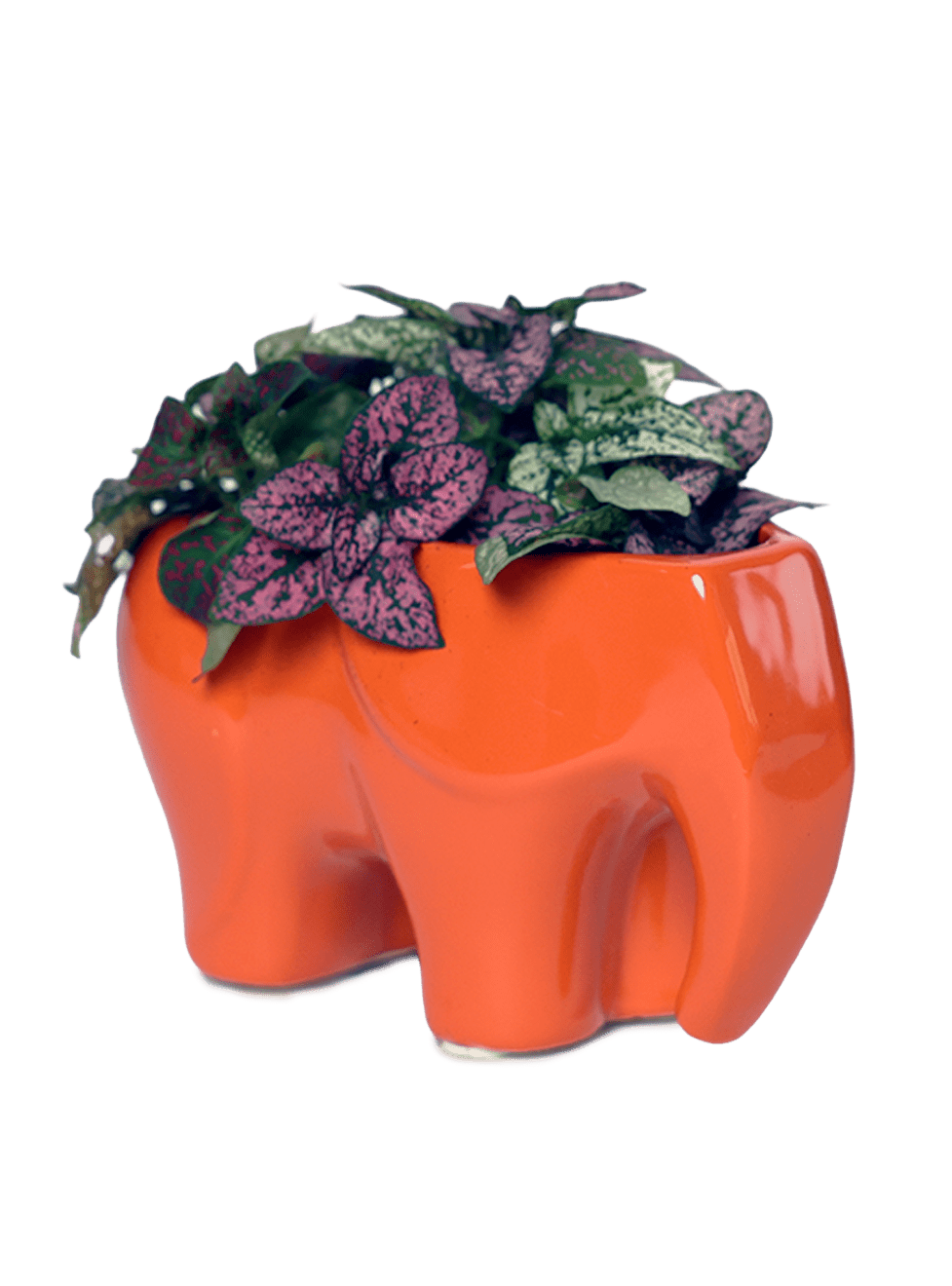 Elephant Ceramic Indoor Plant Pot For Succulents - Chive Ceramics Studio - Pots - Chive Ceramics Studio