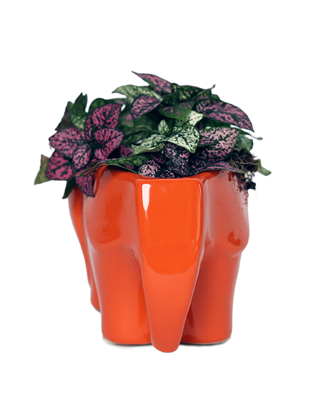 Elephant Ceramic Indoor Plant Pot For Succulents - Chive Ceramics Studio - Pots - Chive Ceramics Studio