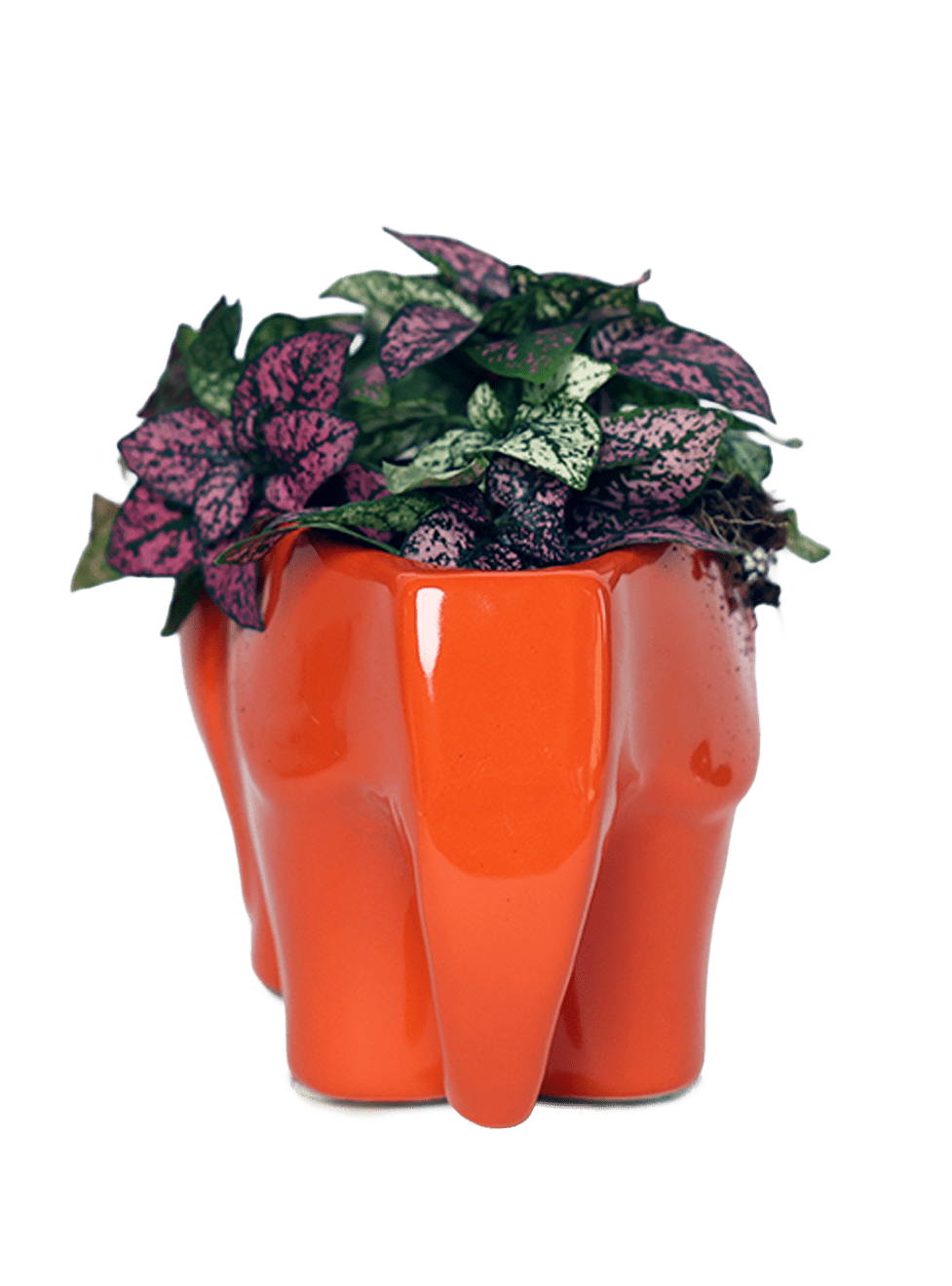 Elephant Ceramic Indoor Plant Pot For Succulents - Chive Ceramics Studio - Pots - Chive Ceramics Studio