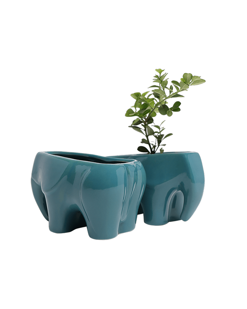 Elephant Ceramic Indoor Plant Pot For Succulents - Chive Ceramics Studio - Pots - Chive US