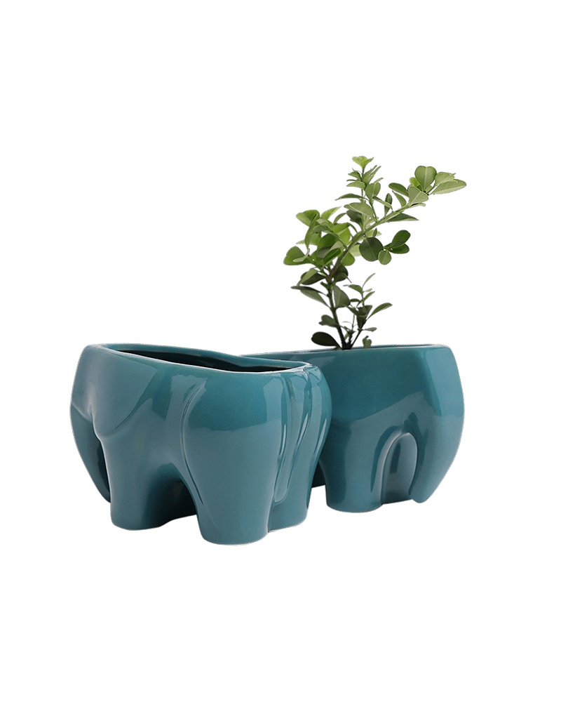 Elephant Ceramic Indoor Plant Pot For Succulents - Chive Ceramics Studio - Pots - Chive US
