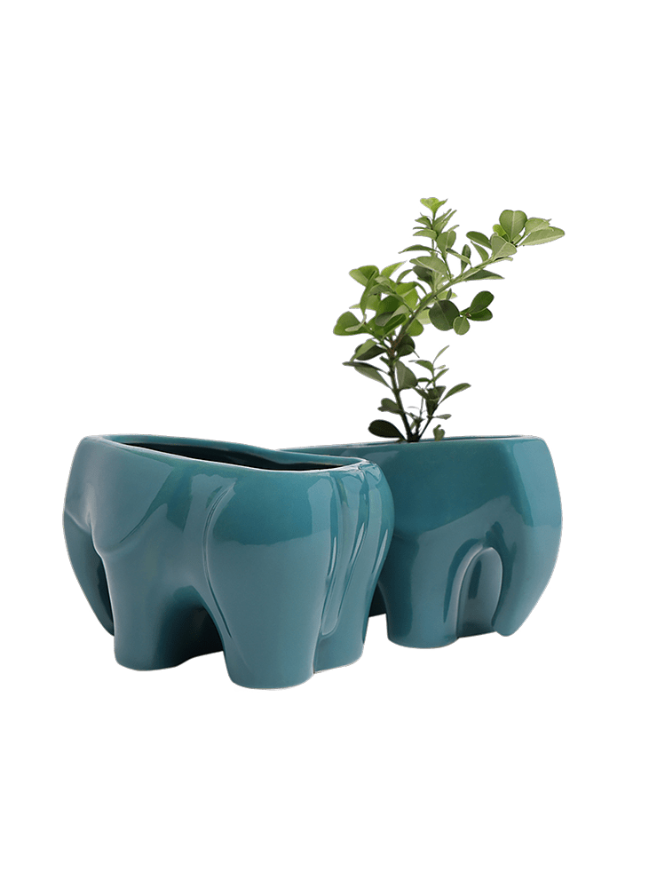 Elephant Ceramic Indoor Plant Pot For Succulents - Chive Ceramics Studio - Pots - Chive US