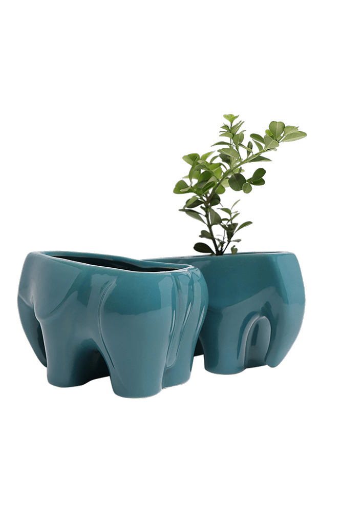 Elephant Ceramic Indoor Plant Pot For Succulents - Chive Ceramics Studio - Pots - Chive US