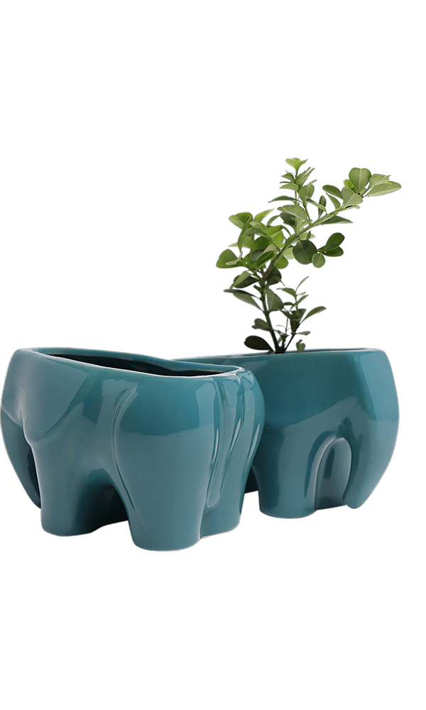 Elephant Ceramic Indoor Plant Pot For Succulents - Chive Ceramics Studio - Pots - Chive US
