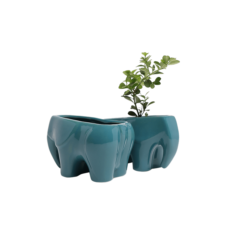 Elephant Ceramic Indoor Plant Pot For Succulents - Chive Ceramics Studio - Pots - Chive US