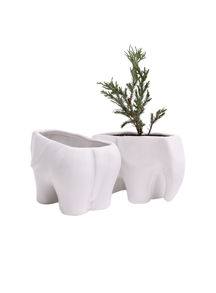 Elephant Ceramic Indoor Plant Pot For Succulents - Chive Ceramics Studio - Pots - Chive US