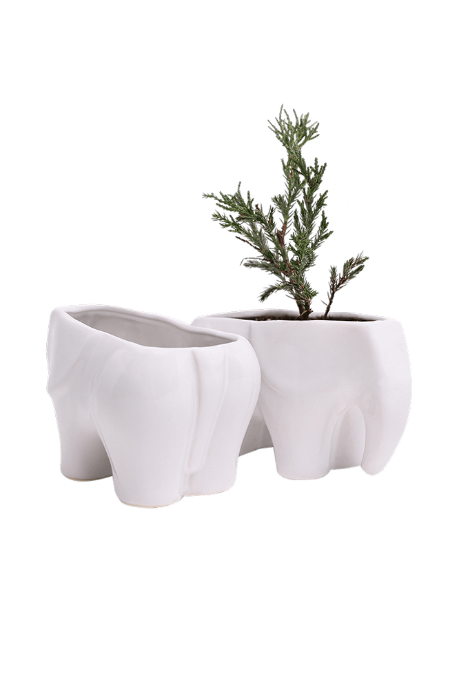 Elephant Ceramic Indoor Plant Pot For Succulents - Chive Ceramics Studio - Pots - Chive US