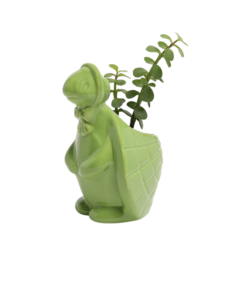 Turtle Ceramic Indoor Plant Pot For Succulents - Chive Ceramics Studio - Pots - Chive US