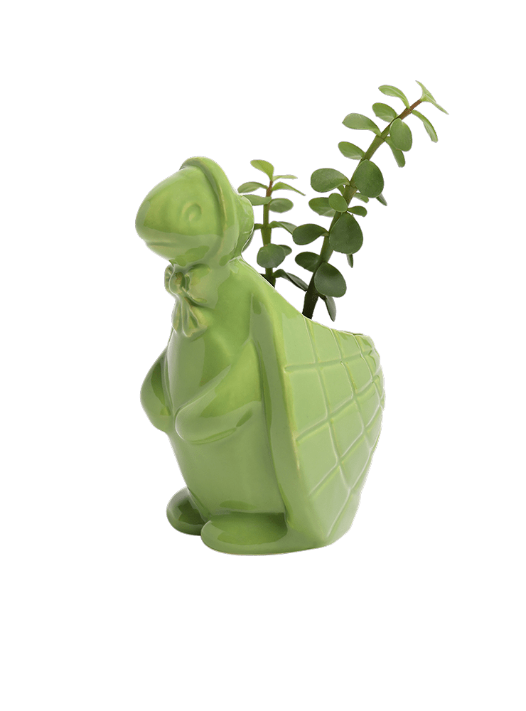 Turtle Ceramic Indoor Plant Pot For Succulents - Chive Ceramics Studio - Pots - Chive US