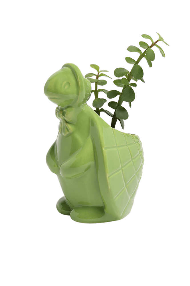 Turtle Ceramic Indoor Plant Pot For Succulents - Chive Ceramics Studio - Pots - Chive US