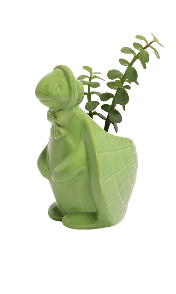 Turtle Ceramic Indoor Plant Pot For Succulents - Chive Ceramics Studio - Pots - Chive US