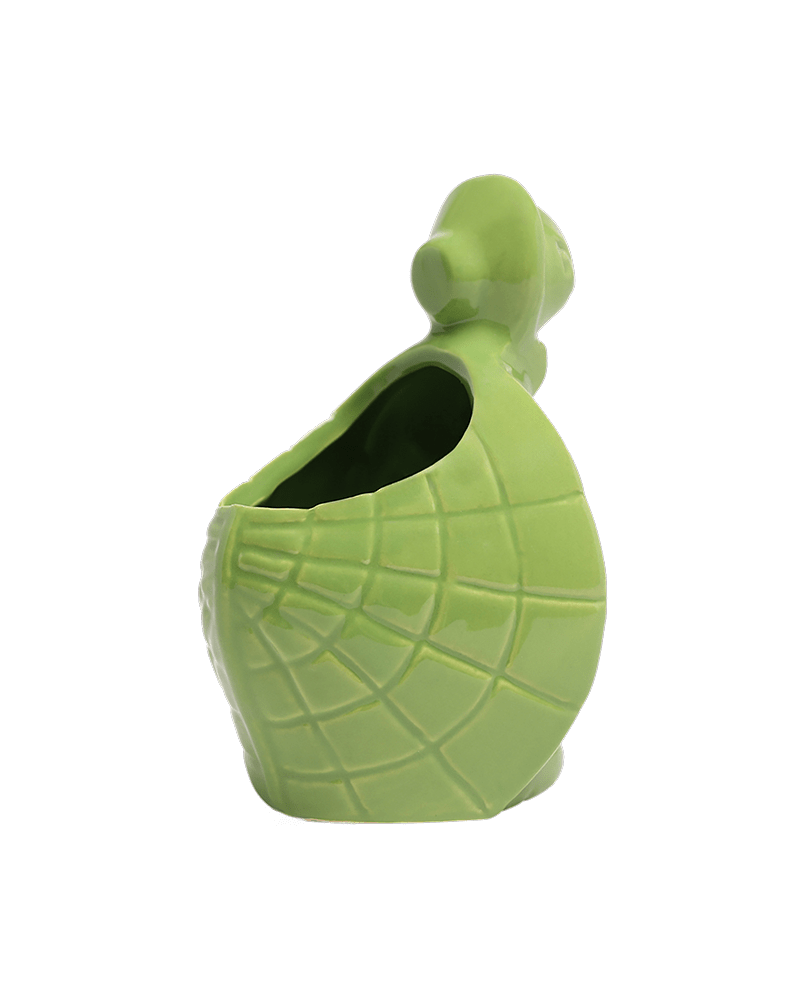 Turtle Ceramic Indoor Plant Pot For Succulents - Chive Ceramics Studio - Pots - Chive US