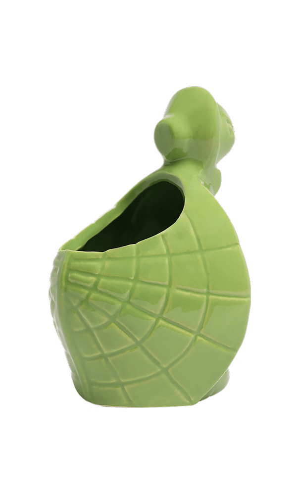Turtle Ceramic Indoor Plant Pot For Succulents - Chive Ceramics Studio - Pots - Chive US