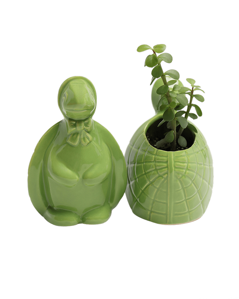 Turtle Ceramic Indoor Plant Pot For Succulents - Chive Ceramics Studio - Pots - Chive US