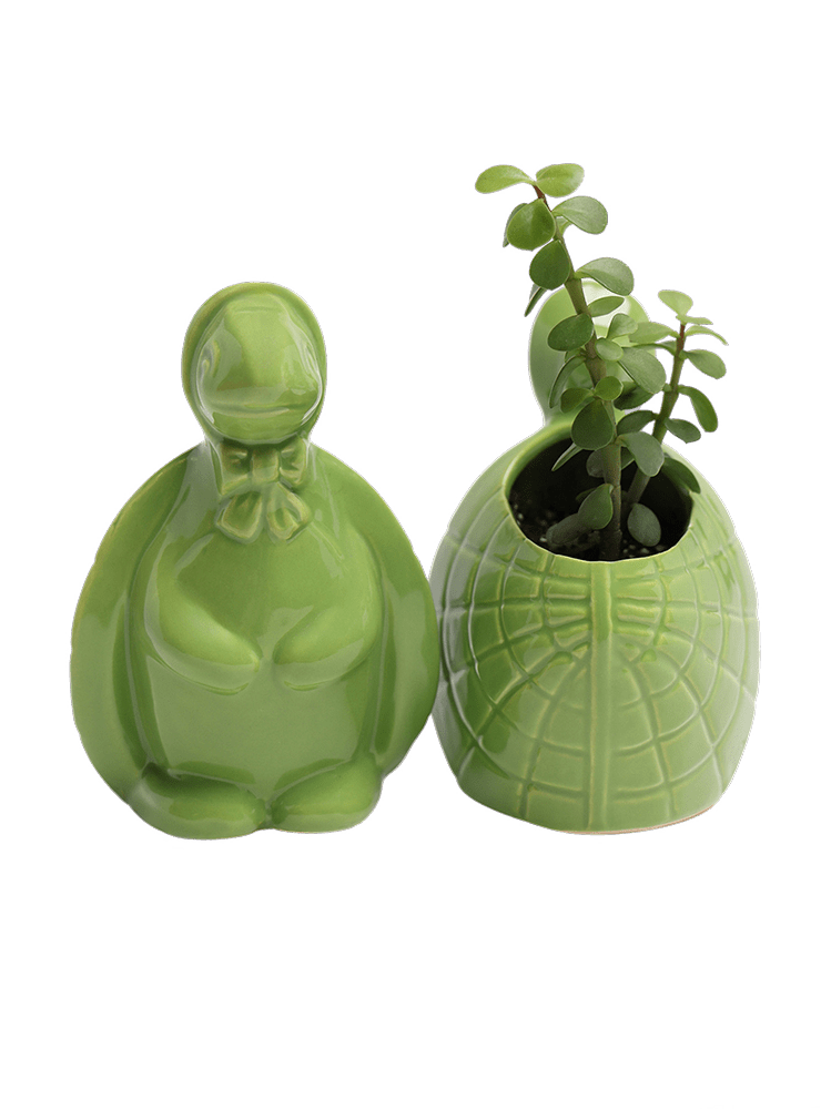 Turtle Ceramic Indoor Plant Pot For Succulents - Chive Ceramics Studio - Pots - Chive US