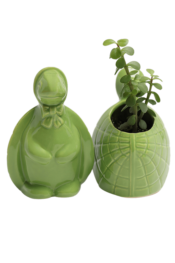 Turtle Ceramic Indoor Plant Pot For Succulents - Chive Ceramics Studio - Pots - Chive US