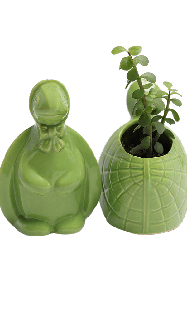 Turtle Ceramic Indoor Plant Pot For Succulents - Chive Ceramics Studio - Pots - Chive US