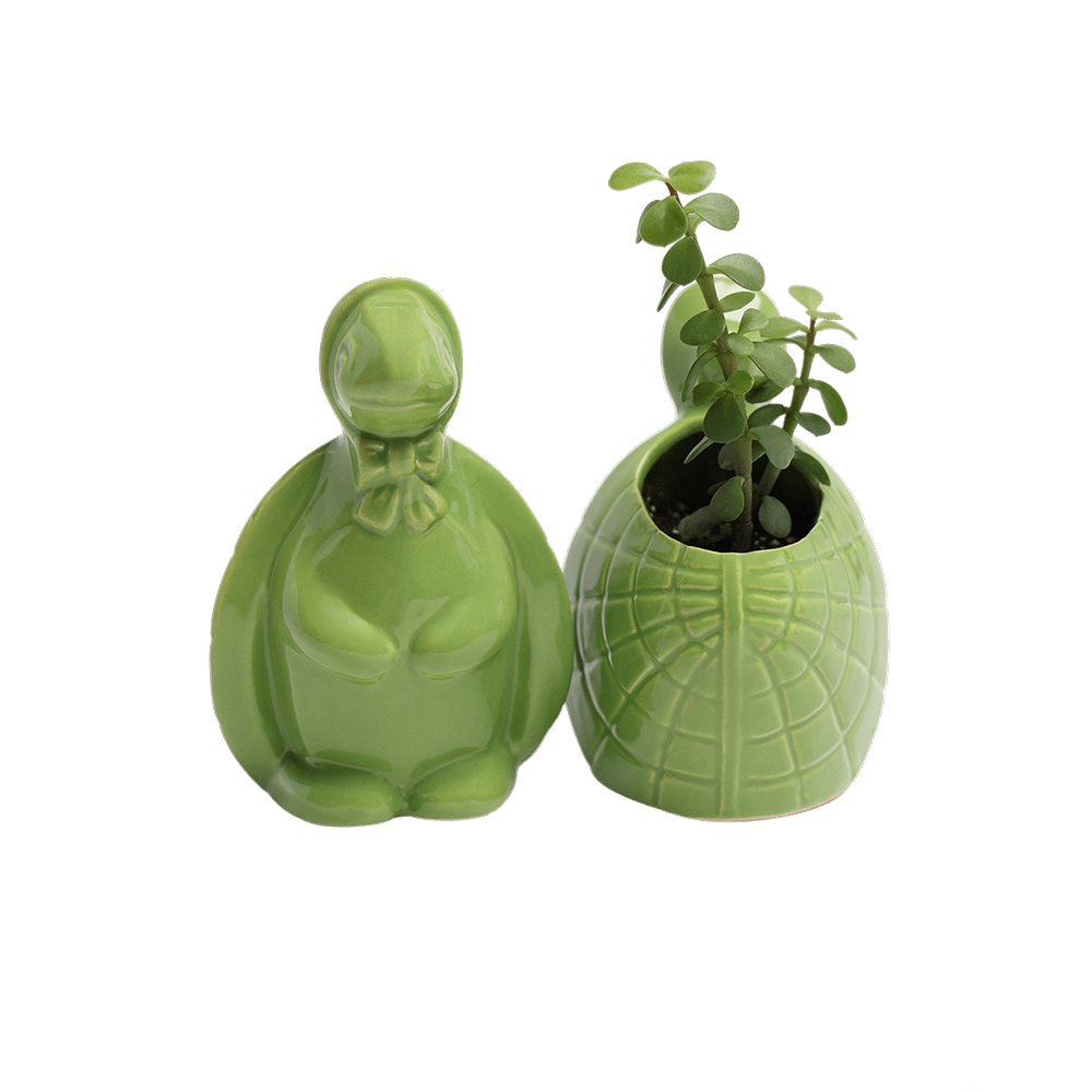 Turtle Ceramic Indoor Plant Pot For Succulents - Chive Ceramics Studio - Pots - Chive US