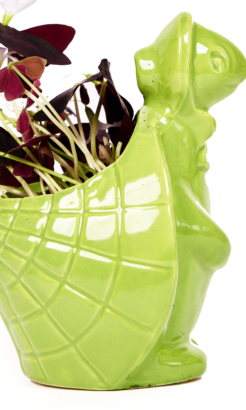 Turtle Ceramic Indoor Plant Pot For Succulents - Chive Ceramics Studio - Pots - Chive US