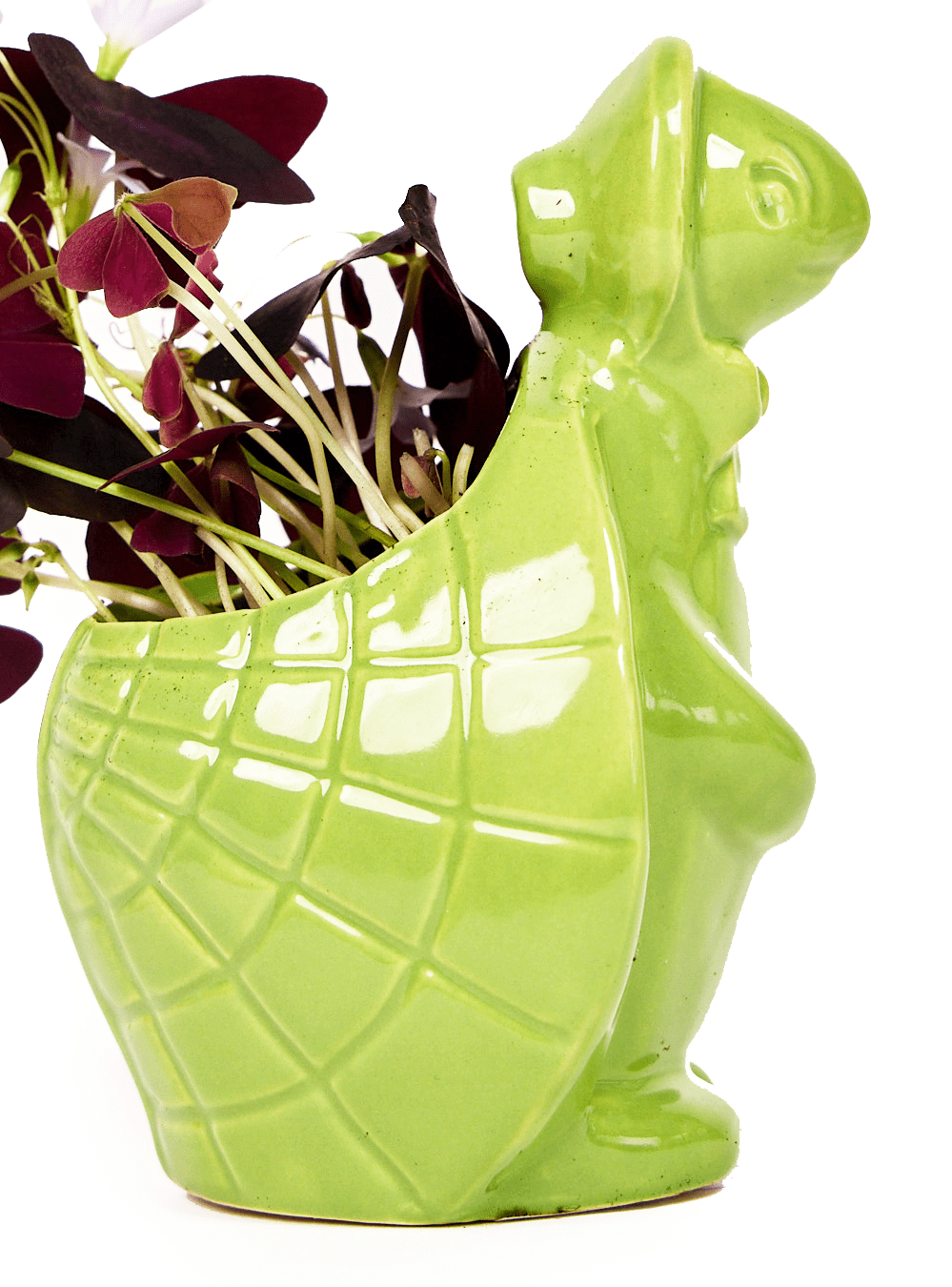 Turtle Ceramic Indoor Plant Pot For Succulents - Chive Ceramics Studio - Pots - Chive US