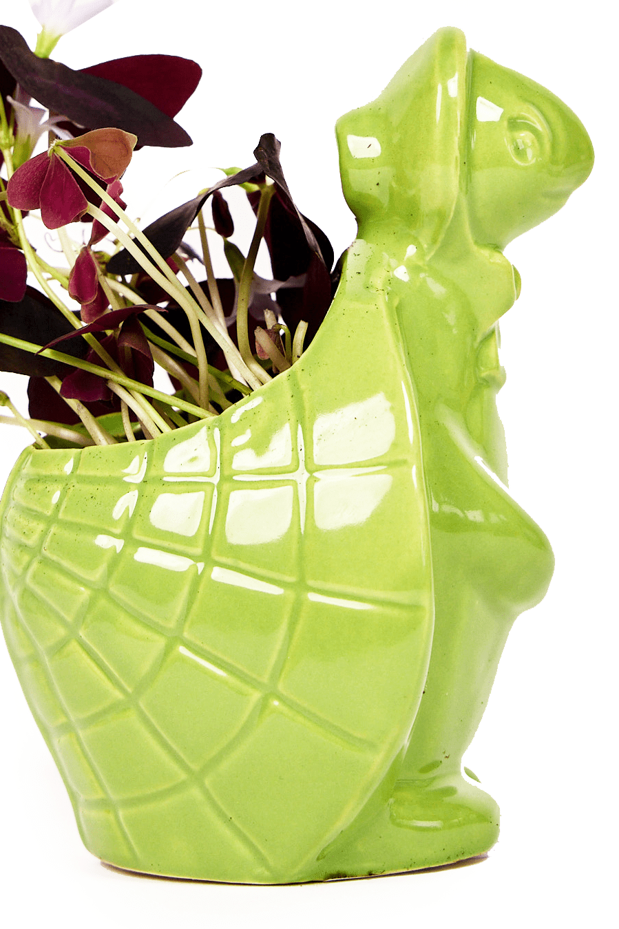 Turtle Ceramic Indoor Plant Pot For Succulents - Chive Ceramics Studio - Pots - Chive US