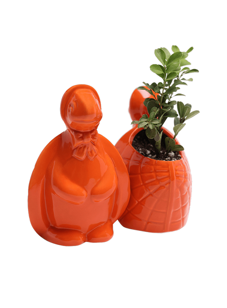 Turtle Ceramic Indoor Plant Pot For Succulents - Chive Ceramics Studio - Pots - Chive US