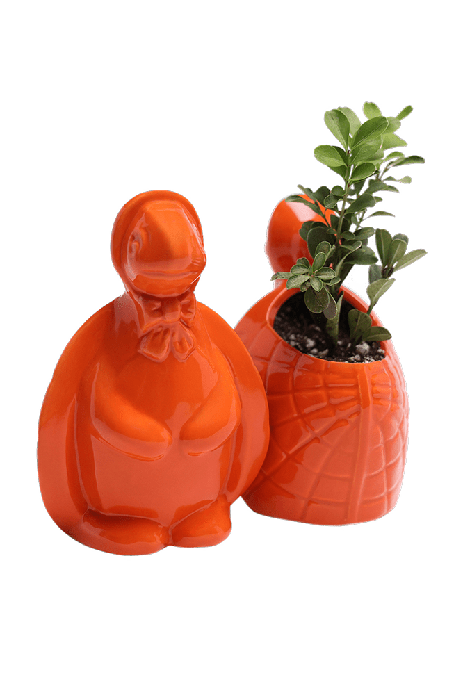 Turtle Ceramic Indoor Plant Pot For Succulents - Chive Ceramics Studio - Pots - Chive US