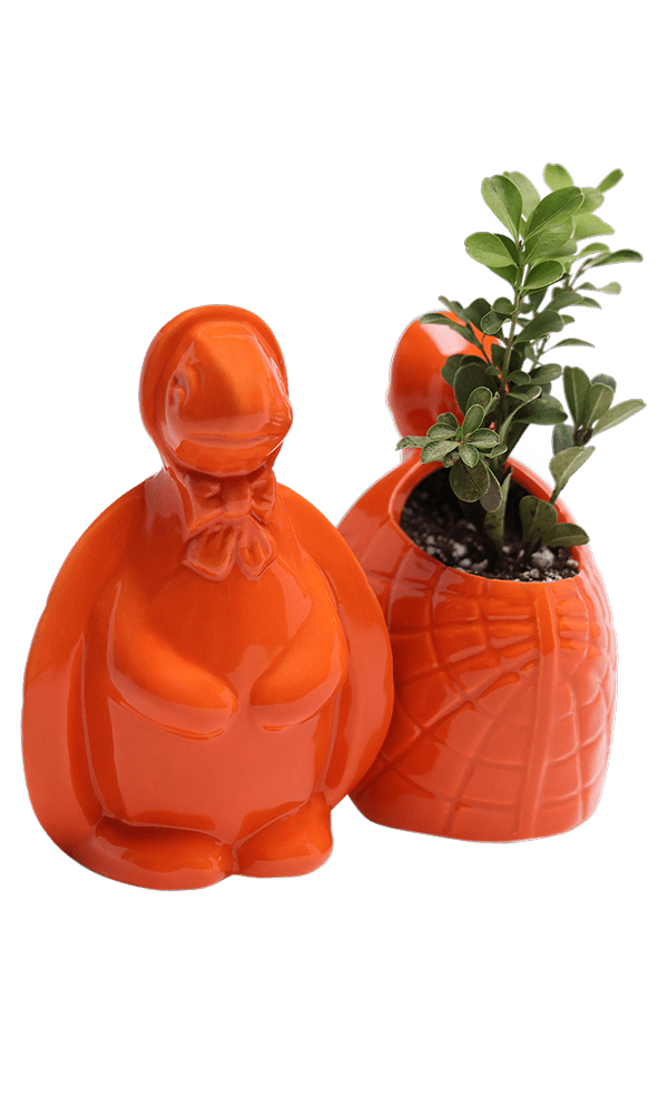 Turtle Ceramic Indoor Plant Pot For Succulents - Chive Ceramics Studio - Pots - Chive US